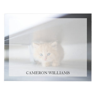 Cutest Baby Animals Fluffy Orange Kitten Notepad