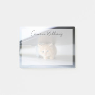 Cutest Baby Animals   Fluffy Orange Kitten Post-it Notes