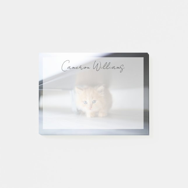 Cutest Baby Animals | Fluffy Orange Kitten Post-it Notes (Front)