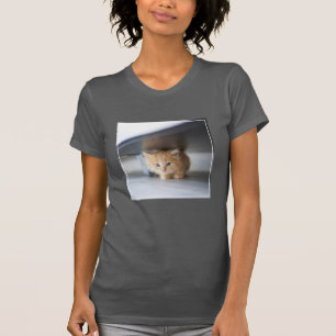 Cutest Baby Animals   Fluffy Orange Kitten T-Shirt