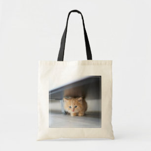 Cutest Baby Animals   Fluffy Orange Kitten Tote Bag