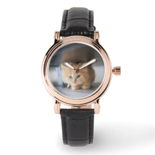 Cutest Baby Animals Fluffy Orange Kitten Watch