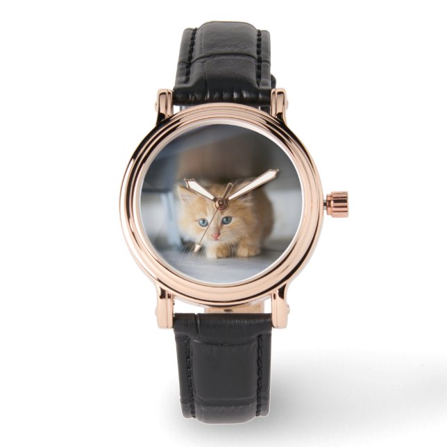 Cutest Baby Animals | Fluffy Orange Kitten Watch (Front)