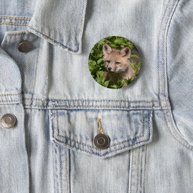 Cutest Baby Animals | Fox Kit 6 Cm Round Badge (In Situ)