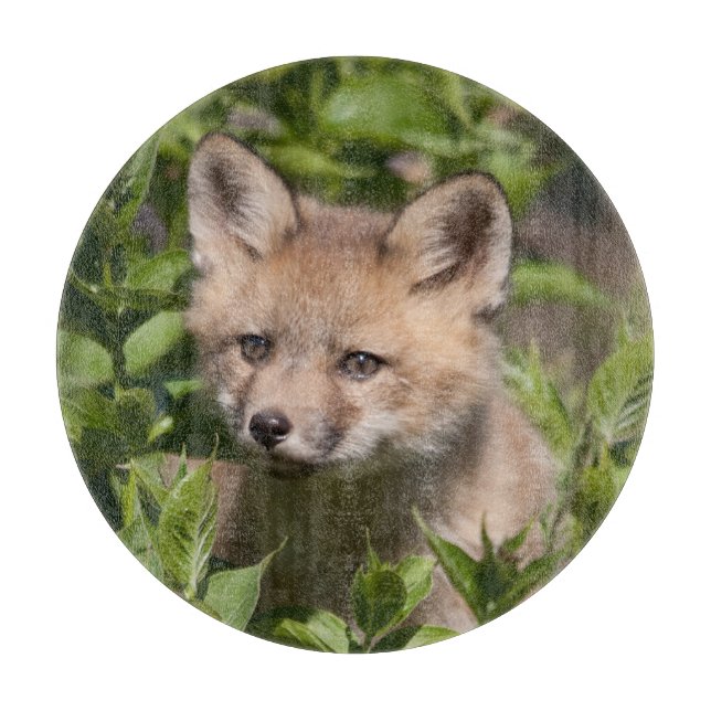 Cutest Baby Animals | Fox Kit Cutting Board (Front)