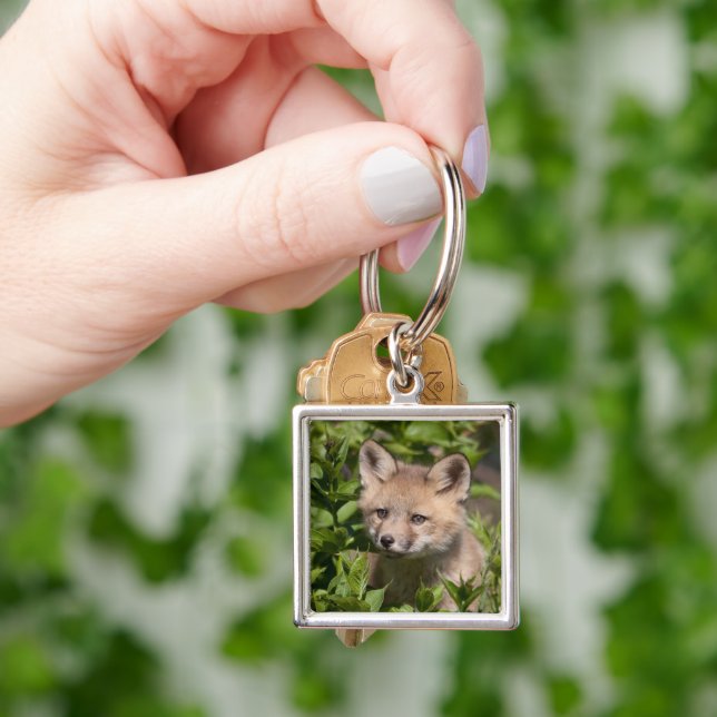 Cutest Baby Animals | Fox Kit Key Ring (Hand)