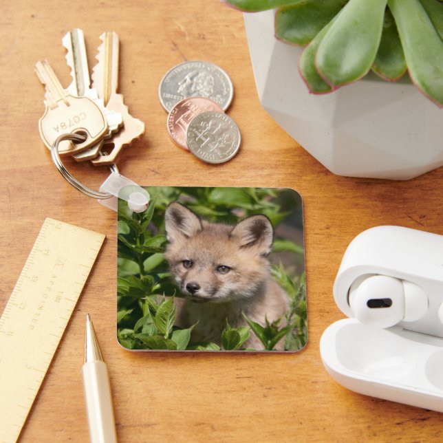 Cutest Baby Animals | Fox Kit Key Ring (Desk)