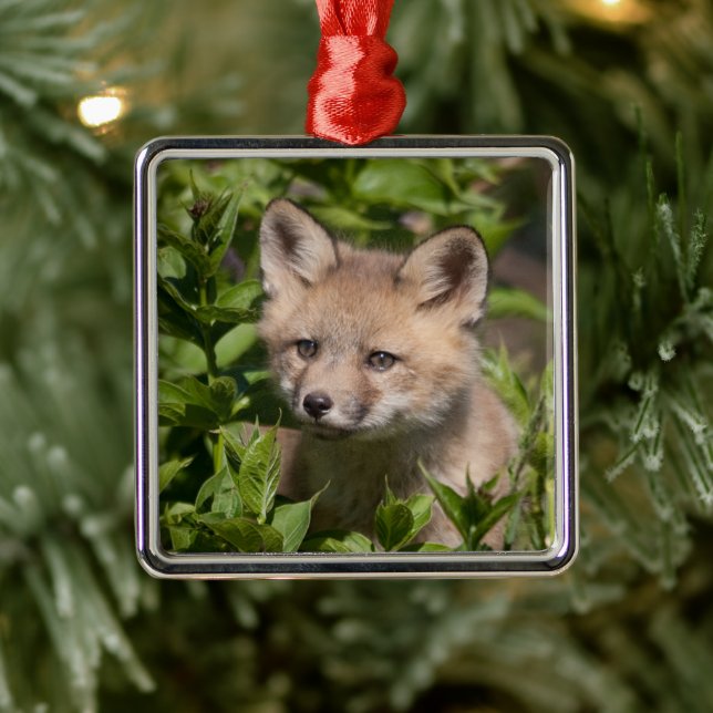 Cutest Baby Animals | Fox Kit Metal Tree Decoration (Tree)