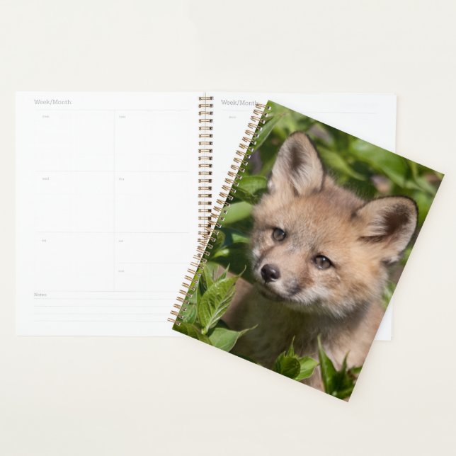 Cutest Baby Animals | Fox Kit Planner (Display)