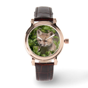 Cutest Baby Animals Fox Kit Watch