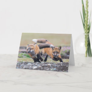 Cutest Baby Animals Fox Pups at Play Card