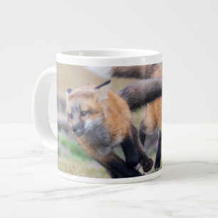 Cutest Baby Animals Fox Pups at Play Large Coffee Mug