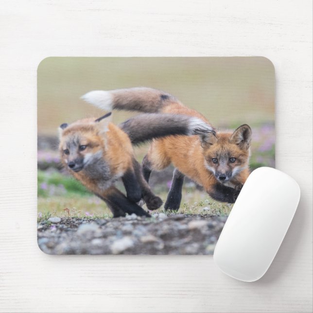 Cutest Baby Animals | Fox Pups at Play Mouse Pad (With Mouse)