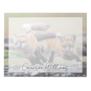 Cutest Baby Animals   Fox Pups at Play Notepad