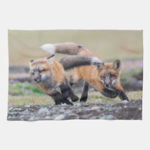 Cutest Baby Animals   Fox Pups at Play Tea Towel