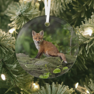 Cutest Baby Animals Foxy Smile Glass Tree Decoration