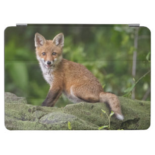 Cutest Baby Animals   Foxy Smile iPad Air Cover