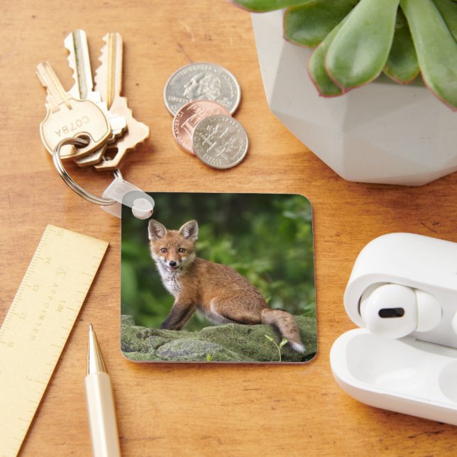 Cutest Baby Animals | Foxy Smile Key Ring (Desk)