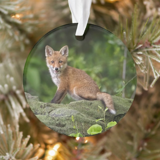 Cutest Baby Animals | Foxy Smile Ornament (Tree)