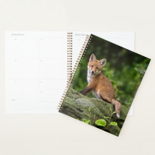Cutest Baby Animals   Foxy Smile Planner
