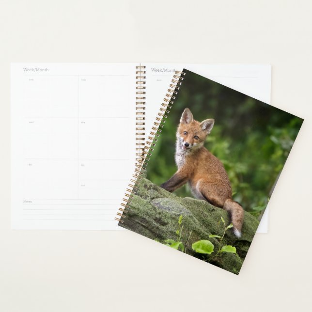 Cutest Baby Animals | Foxy Smile Planner (Display)