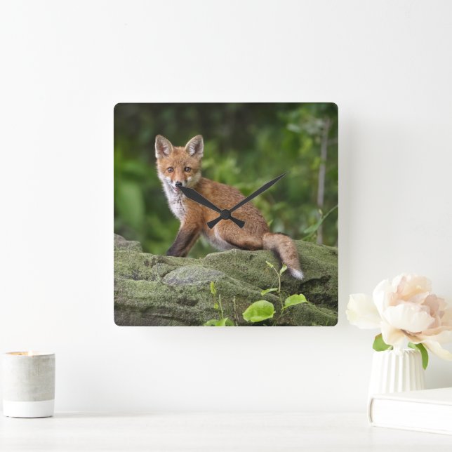 Cutest Baby Animals | Foxy Smile Square Wall Clock (Home)