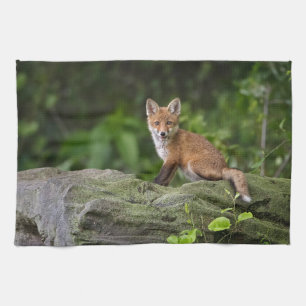 Cutest Baby Animals   Foxy Smile Tea Towel