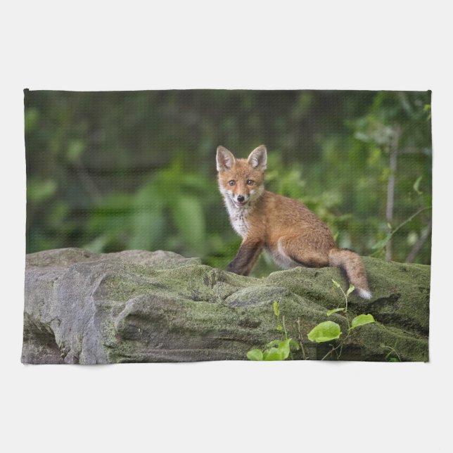 Cutest Baby Animals | Foxy Smile Tea Towel (Horizontal)