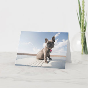 Cutest Baby Animals French Bulldog Boating Card