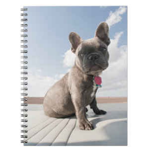 Cutest Baby Animals French Bulldog Boating Notebook