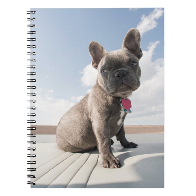 Cutest Baby Animals | French Bulldog Boating Notebook (Front)