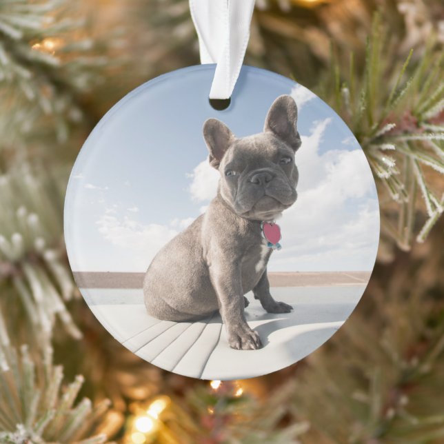 Cutest Baby Animals | French Bulldog Boating Ornament (Tree)