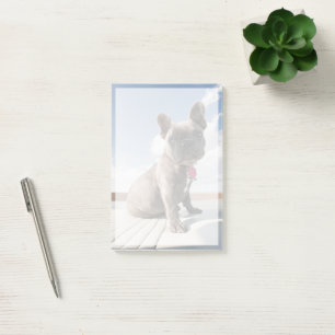 Cutest Baby Animals French Bulldog Boating Post-it Notes