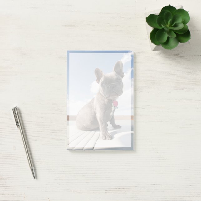 Cutest Baby Animals | French Bulldog Boating Post-it Notes (Office)