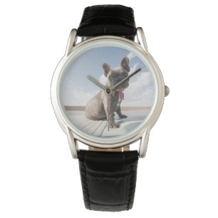 Cutest Baby Animals   French Bulldog Boating Watch