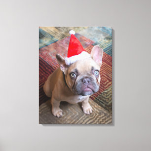 Cutest Baby Animals   French Bulldog Christmas Canvas Print