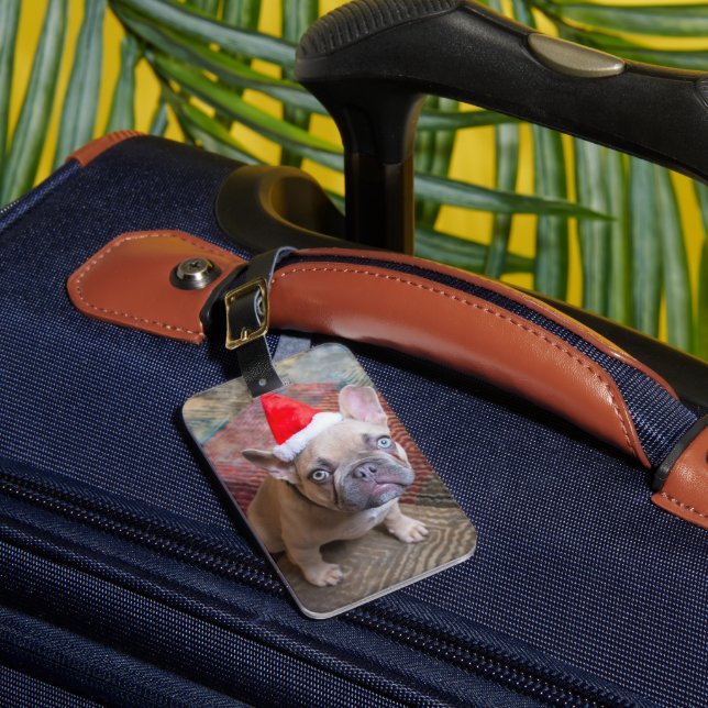Cutest Baby Animals | French Bulldog Christmas Luggage Tag (Front Insitu 1)