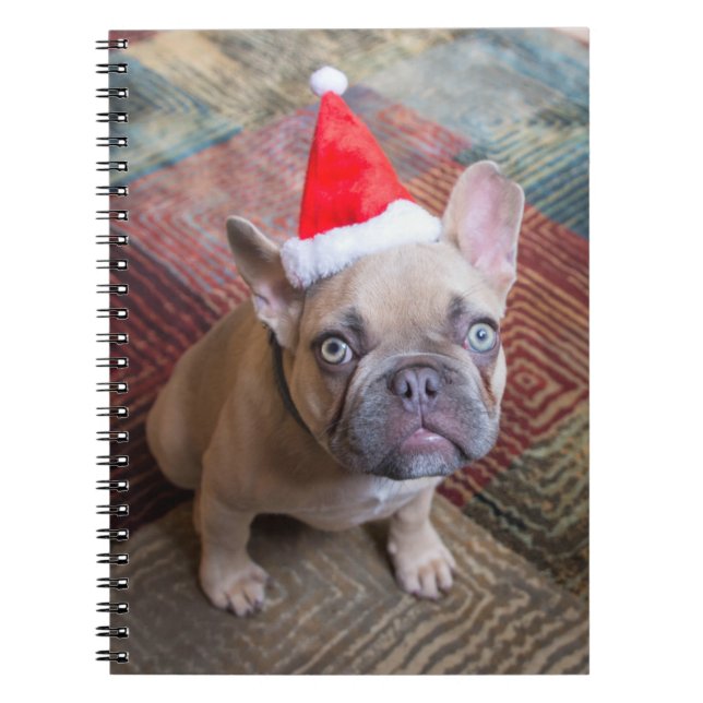 Cutest Baby Animals | French Bulldog Christmas Notebook (Front)