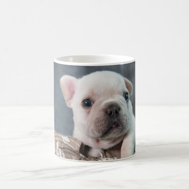 Cutest Baby Animals | French Bulldog Coffee Mug (Center)