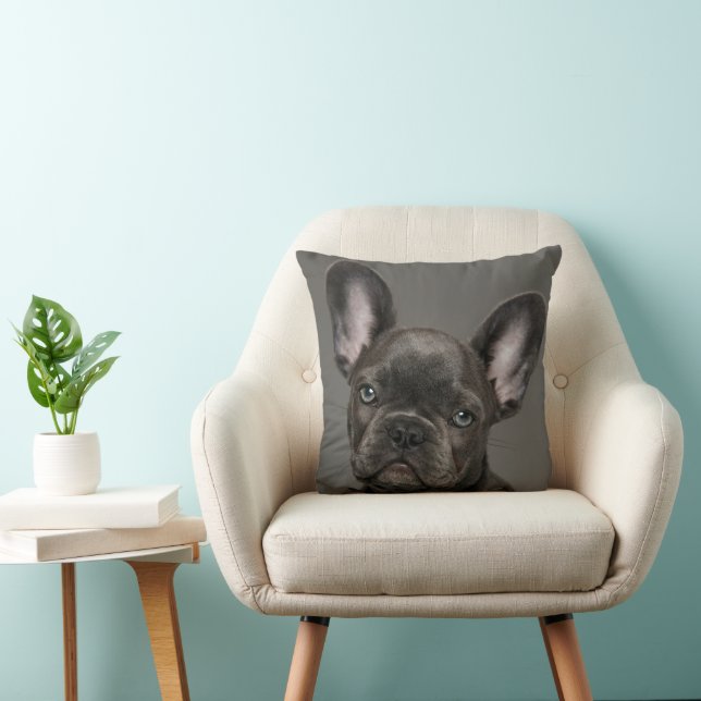 Cutest Baby Animals | French Bulldog Cushion (Chair)