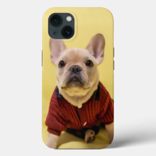 Cutest Baby Animals   French Bulldog Dressed iPhone 13 Case