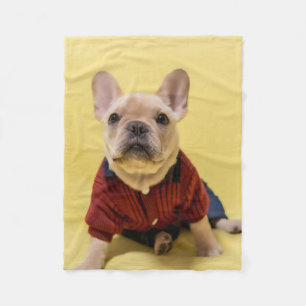 Cutest Baby Animals   French Bulldog Dressed Fleece Blanket