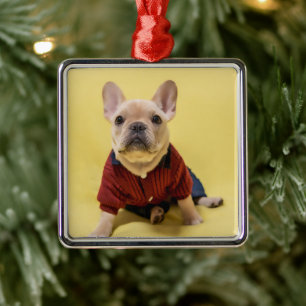 Cutest Baby Animals French Bulldog Dressed Metal Tree Decoration