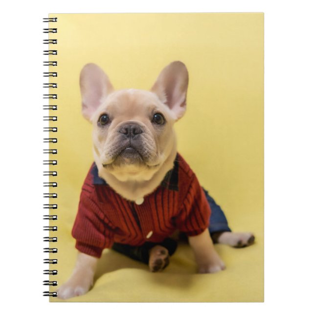 Cutest Baby Animals | French Bulldog Dressed Notebook (Front)