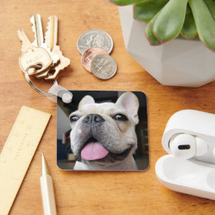 Cutest Baby Animals   French Bulldog Face Key Ring