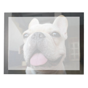 Cutest Baby Animals French Bulldog Face Notepad