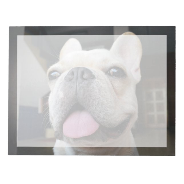Cutest Baby Animals | French Bulldog Face Notepad (Front)