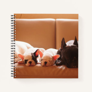 Cutest Baby Animals French Bulldog Family Notebook