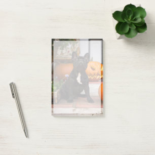 Cutest Baby Animals French Bulldog Halloween Post-it Notes