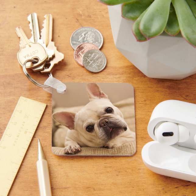 Cutest Baby Animals | French Bulldog Head Tilt Key Ring (Desk)